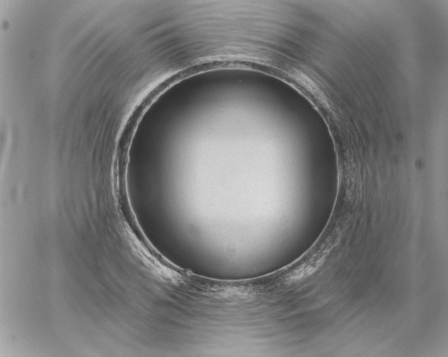 X0000059081076200510172024