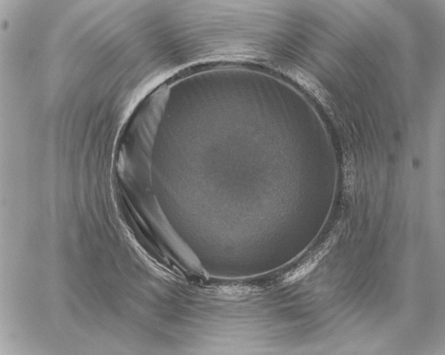 X0000059081077200510172024