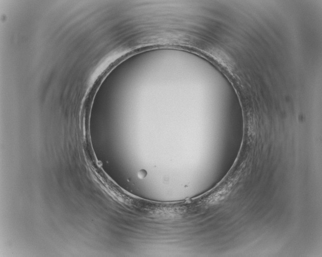 X0000059081078200510172024