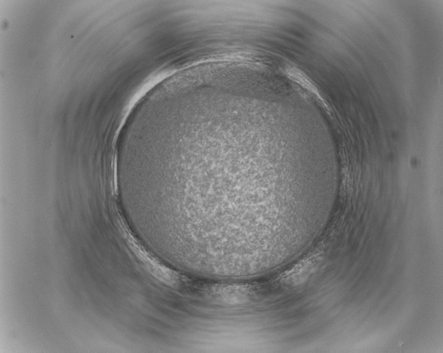 X0000059081079200510172024