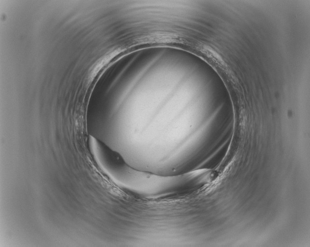 X0000059081081200510172024