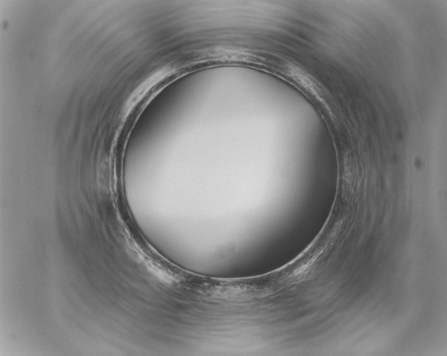 X0000059081082200510172024