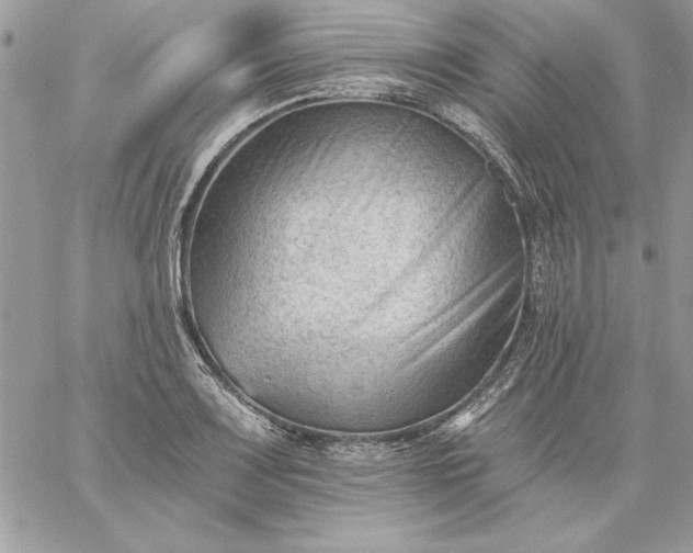 X0000059081083200510172024