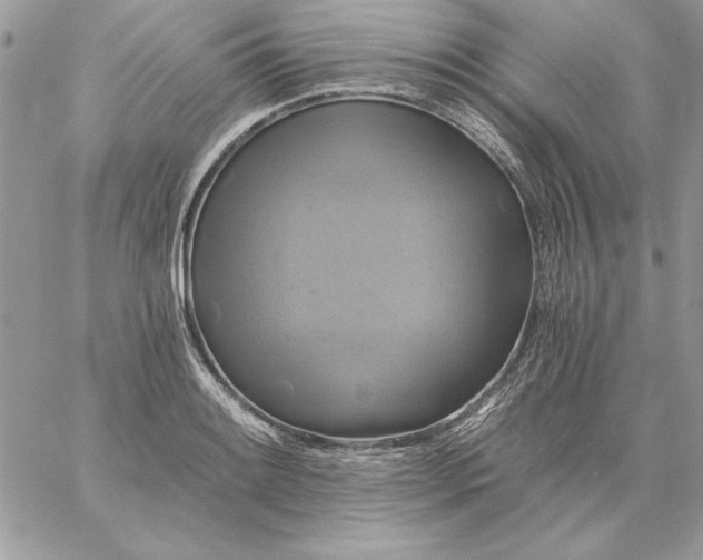 X0000059081084200510172023