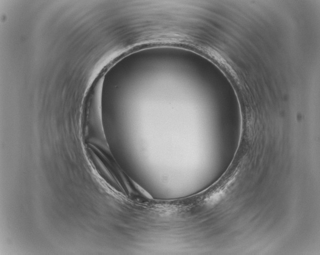 X0000059081085200510172023