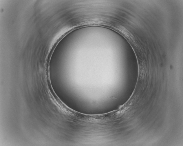 X0000059081086200510172023