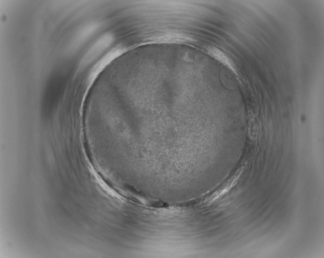 X0000059081087200510172023