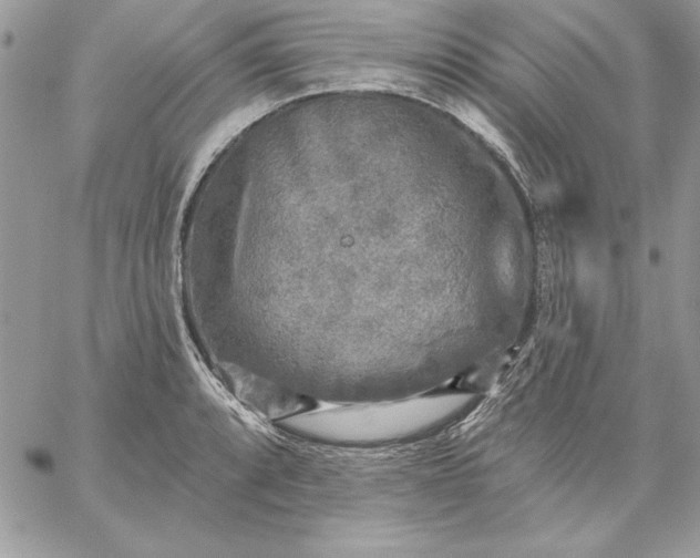 X0000059081088200510172023