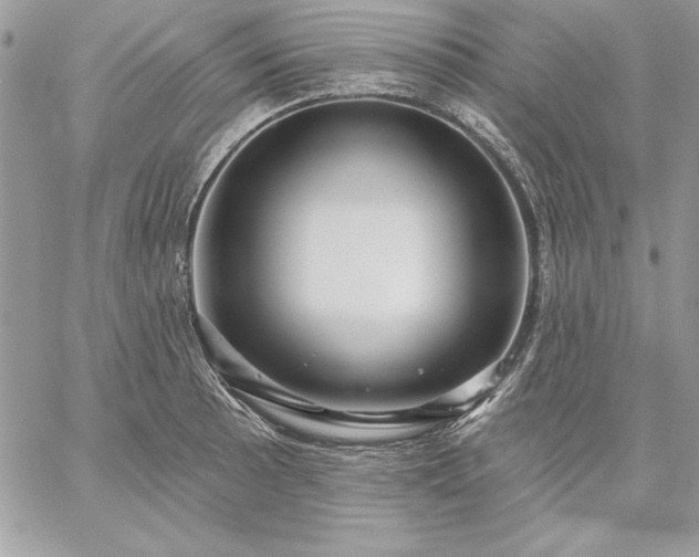 X0000059081089200510172023