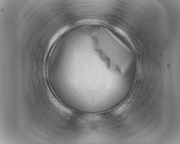 X0000059081090200510172023