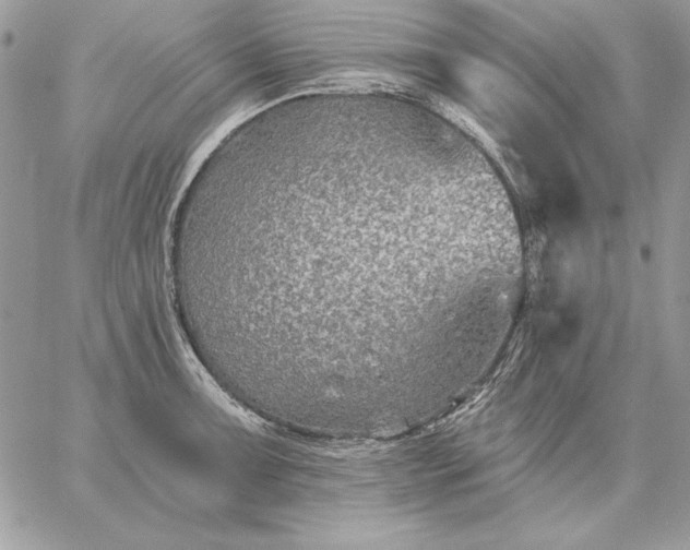 X0000059081091200510172023