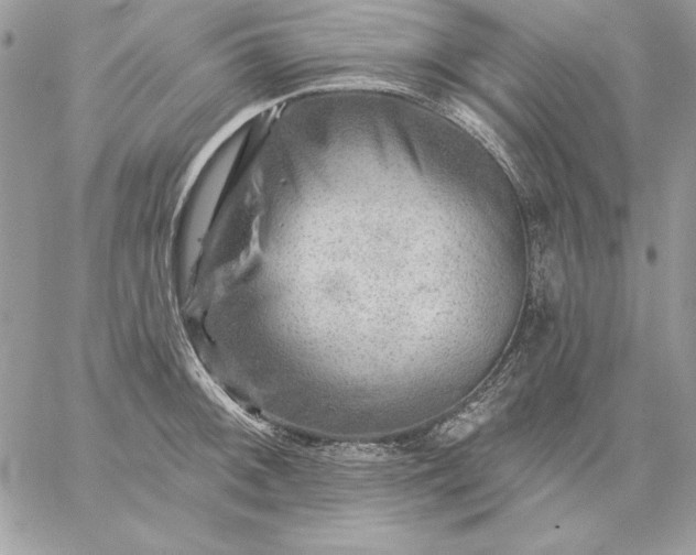 X0000059081092200510172023