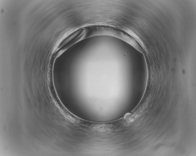 X0000059081093200510172023