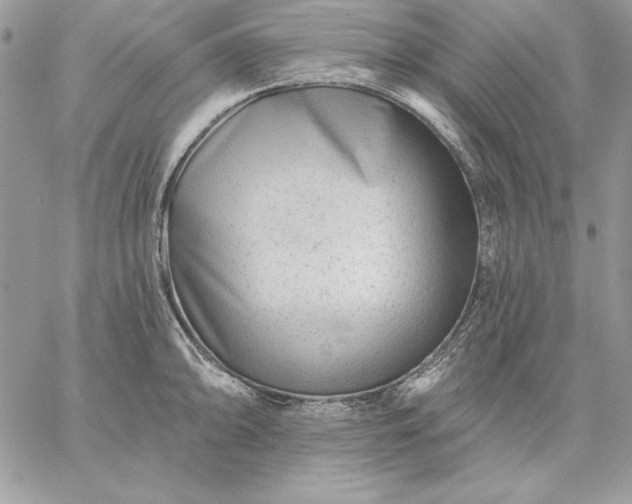 X0000059081094200510172023