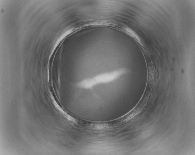 X0000059081095200510172023