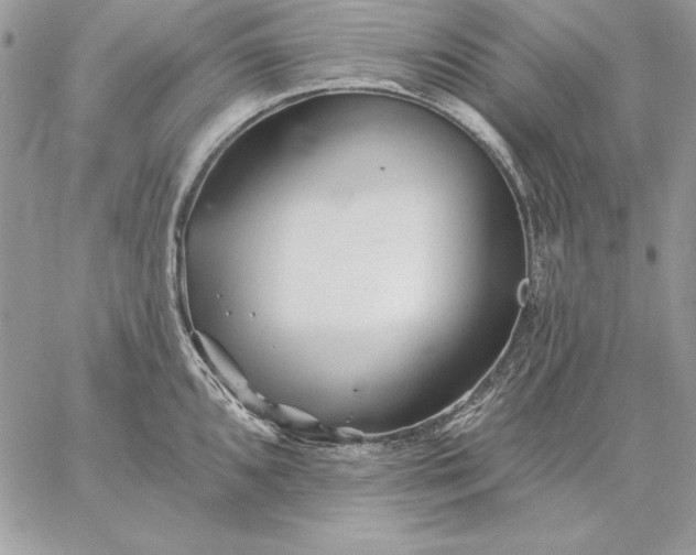 X0000059081096200510172023