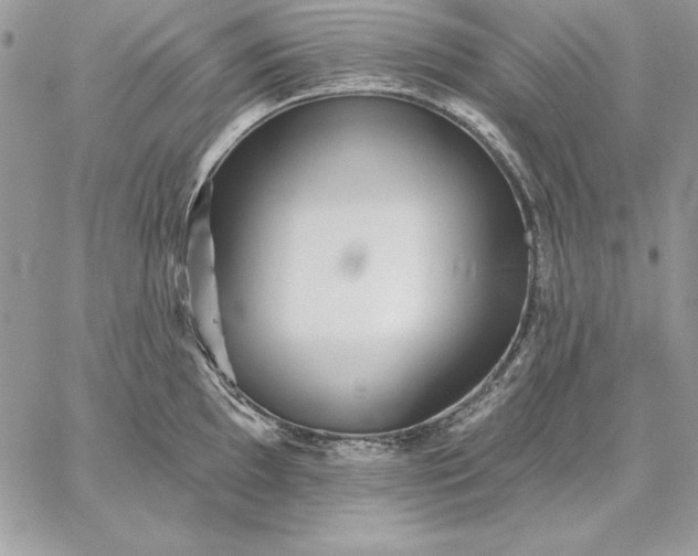 X0000059081097200510172023