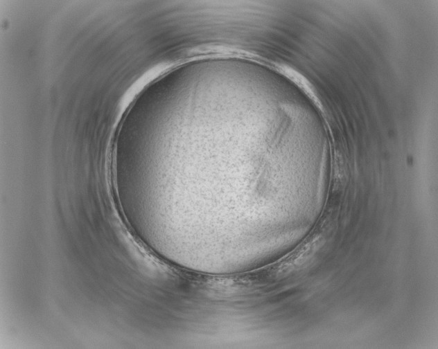 X0000059081098200510172023