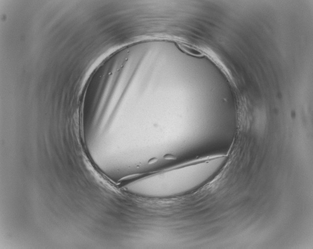 X0000059081100200510172023