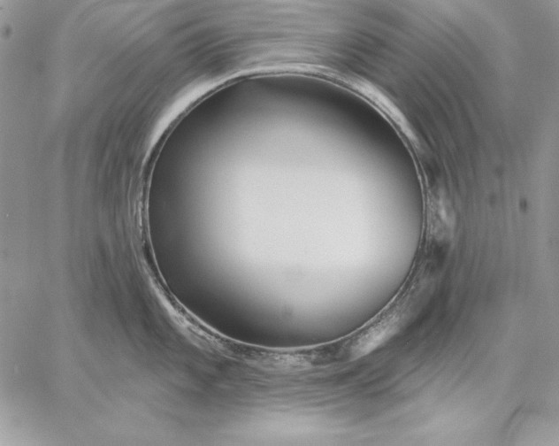 X0000059081101200510172023