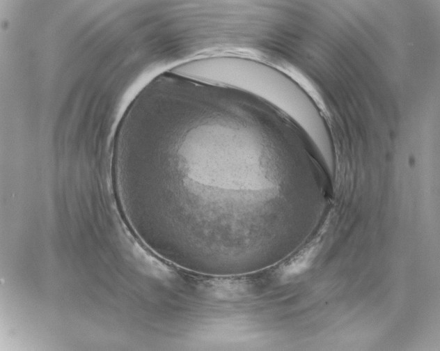 X0000059081102200510172023