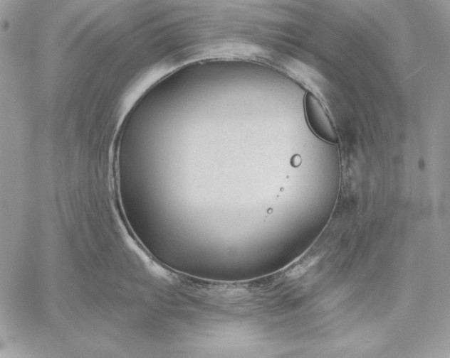 X0000059081103200510172023