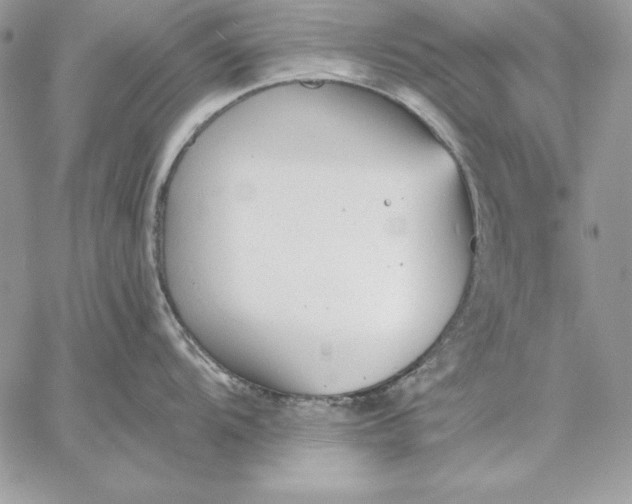 X0000059081104200510172023