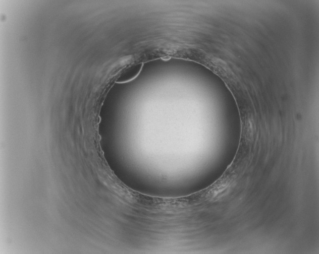 X0000059081105200510172022