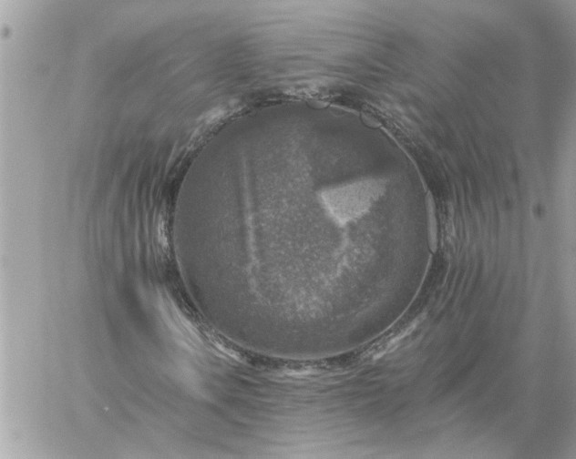 X0000059081106200510172022