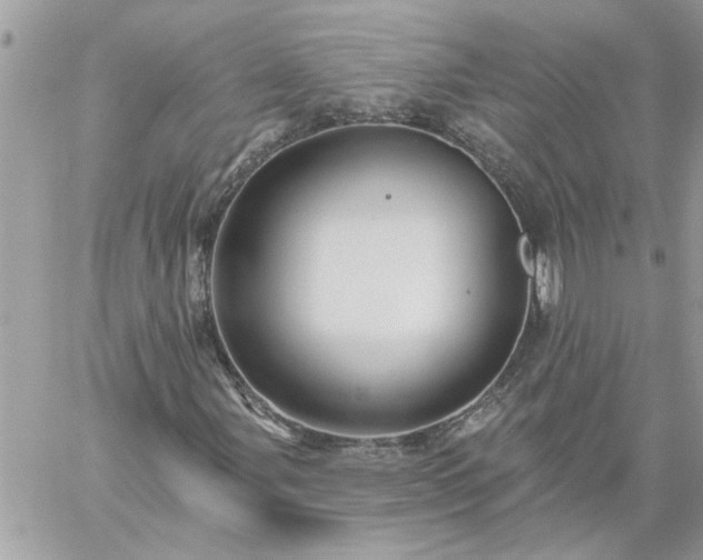 X0000059081107200510172022