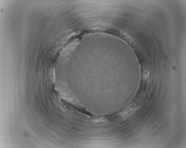 X0000059081108200510172022