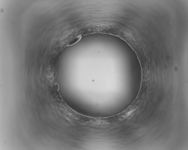 X0000059081109200510172022