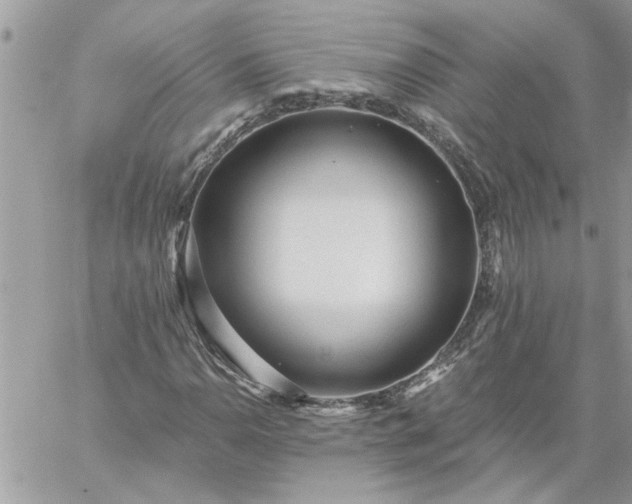 X0000059081110200510172022