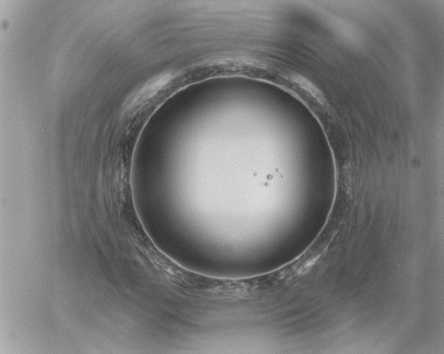 X0000059081111200510172022