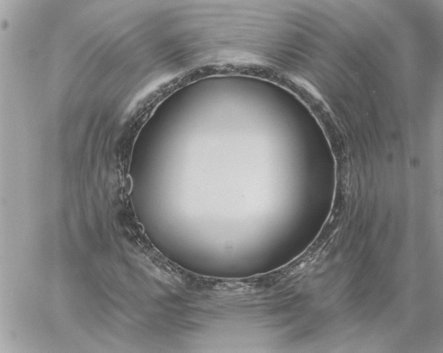 X0000059081112200510172022