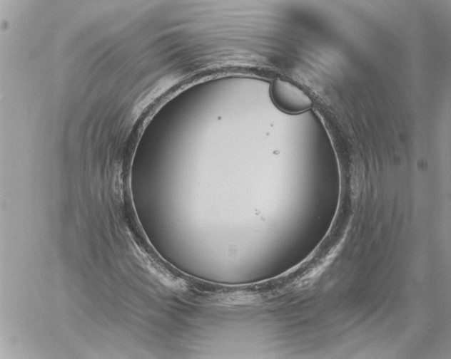 X0000059081113200510172022