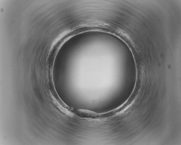 X0000059081114200510172022