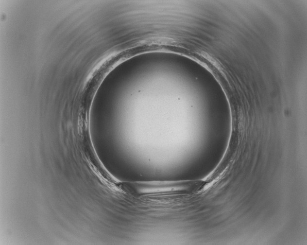 X0000059081115200510172022