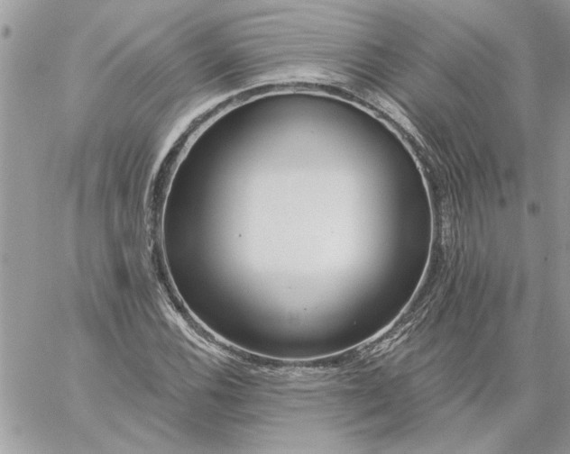 X0000059081116200510172022