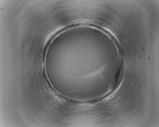 X0000059081117200510172022