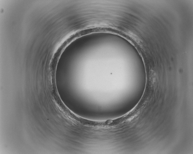 X0000059081118200510172022