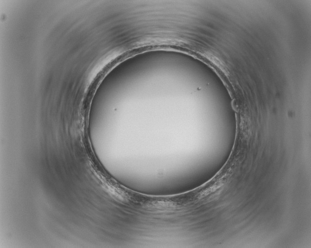 X0000059081119200510172023