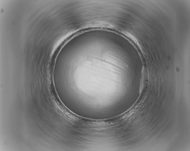 X0000059081120200510172023