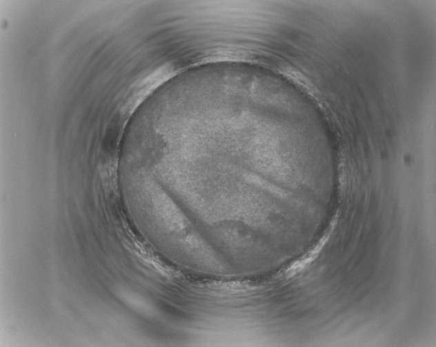 X0000059081121200510172023