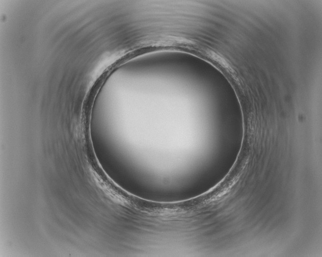 X0000059081122200510172023