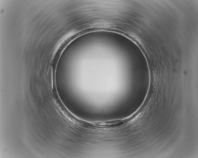 X0000059081123200510172023