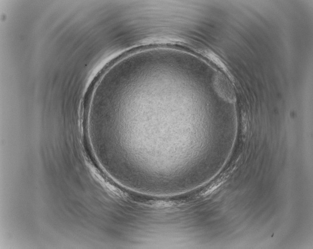 X0000059081124200510172023