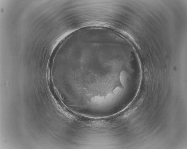 X0000059081125200510172023