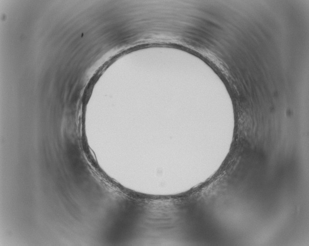 X0000059081126200510172023