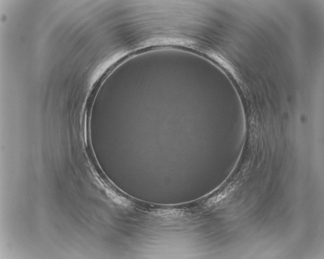 X0000059081127200510172023